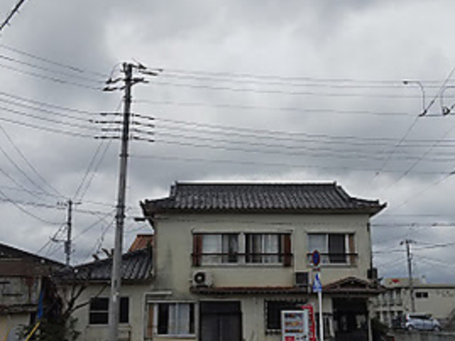 根ぎしの写真1