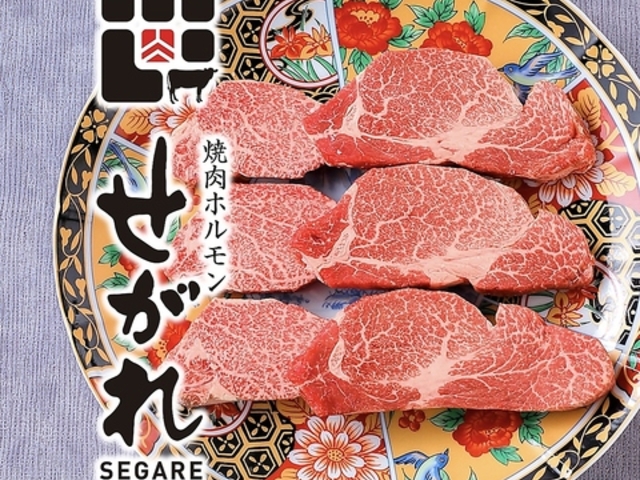 焼肉ホルモン せがれ 豊田市駅の写真1