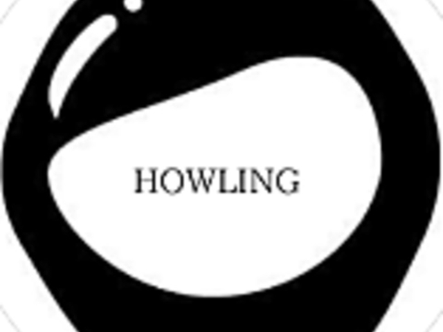music cafe HOWLING ミュージックカフェハウリングの写真1
