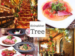 Tree ツリーの写真1