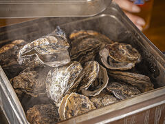 おやこうこうの写真1