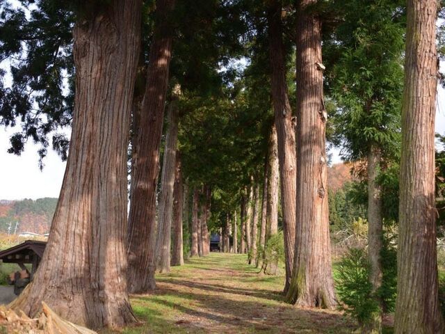 高杜神社(上高井郡高山村)