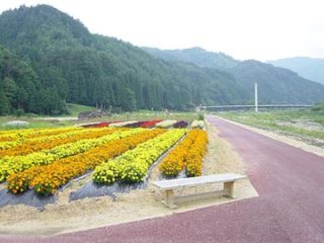 飛騨川河川公園の写真1