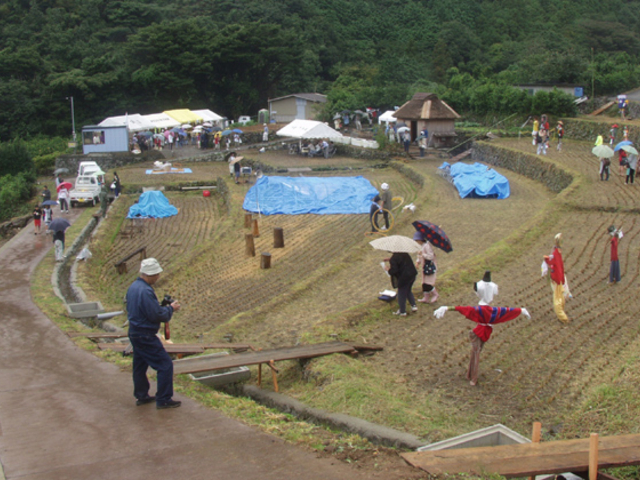 北山の棚田の写真1