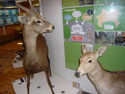 神奈川県自然環境保全センターの写真3