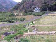 北山の棚田の写真3