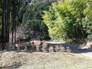 水と緑の杜公園の写真2