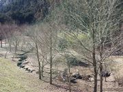 水と緑の杜公園の写真3