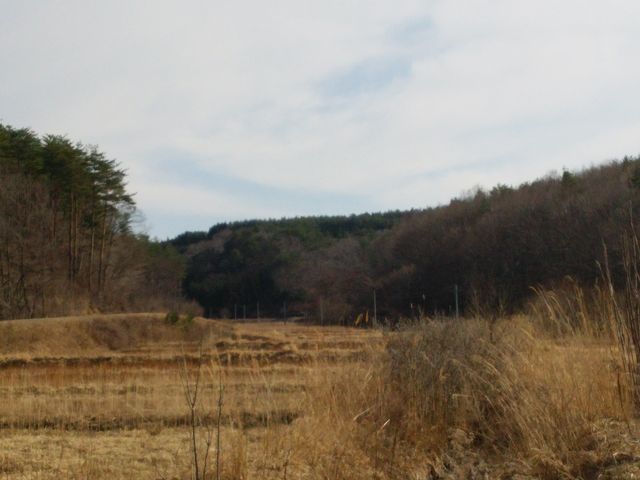 野手上山