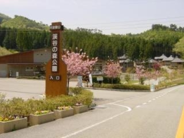 丹波篠山渓谷の森公園の写真1