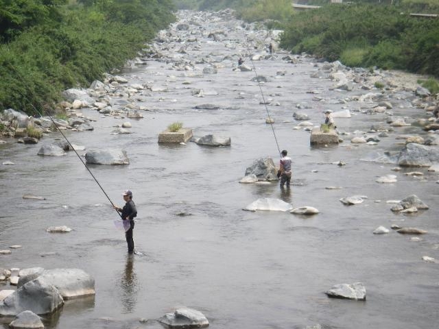 揖保川あゆ釣りの写真1