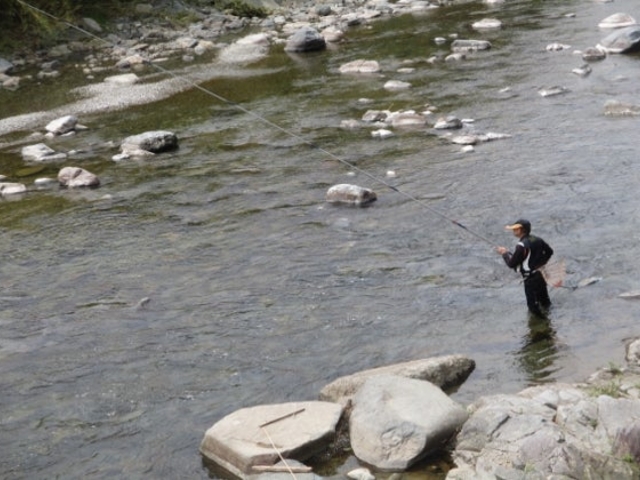 揖保川あゆ釣り