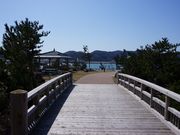 小泊マリンパークの写真2