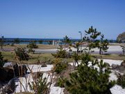 小泊マリンパークの写真3