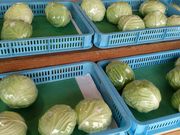 かしも産直市の写真3