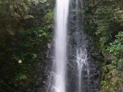 竜吟峡の写真1