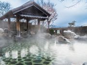 こんだ薬師温泉ぬくもりの郷の写真3