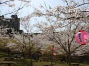 かみごおりさくら園の写真1