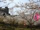 かみごおりさくら園の写真3