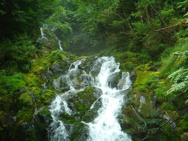 焼山の滝の写真1