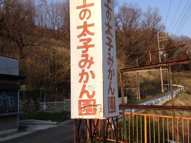 上の太子観光みかん園の写真1
