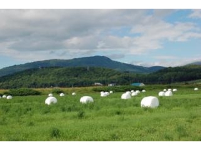 ピリカノカ 九度山の写真1