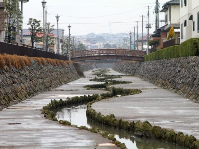 野田の玉川