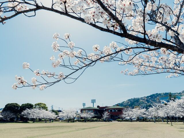 市民の森公園の写真1