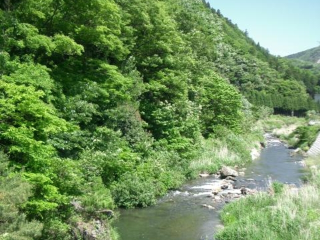姉川上流の写真1