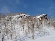 ピリカノカ 九度山の写真2