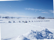 しんしのつ温泉たっぷの湯の写真4