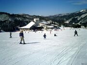 みやぎ蔵王七ヶ宿スキー場の写真4