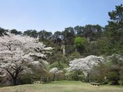 NPO法人二ツ井町観光協会の写真1