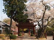 孝顕寺の写真1
