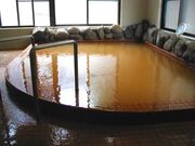 温泉憩いの家の写真1