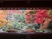 京極家墓所の写真3