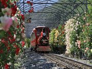 ローザンベリー多和田の写真2