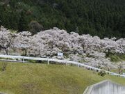 志戸坂峠道の写真2