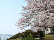 和三郎憩いの広場の写真1