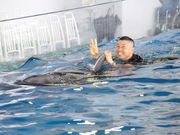 志布志湾海の駅イルカランドの写真3