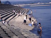 なぎさ公園あいらの写真1