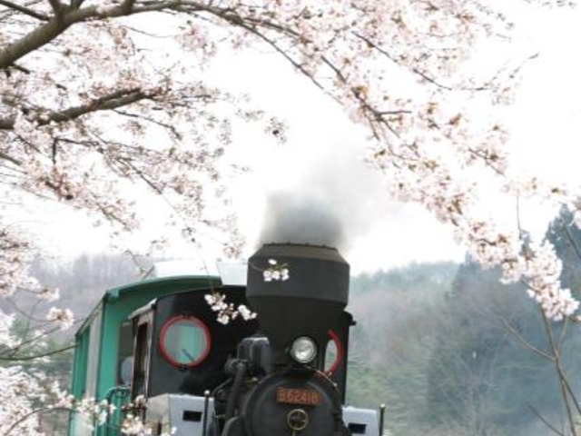 やながわ希望の森公園のミニSL
