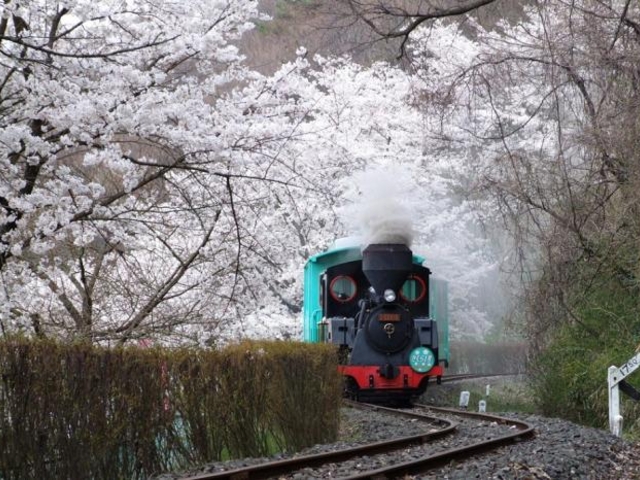やながわ希望の森公園のミニSL