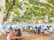 観光農園あかぎおろしの写真2