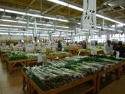 JA千葉みらい農産物直売所しょいか?ご習志野店の写真1