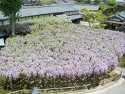 北方文化博物館の写真3