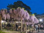 北方文化博物館の写真4