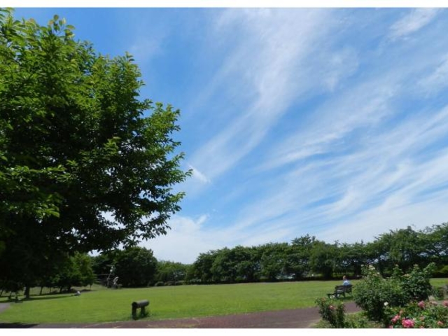 童夢公園の写真1