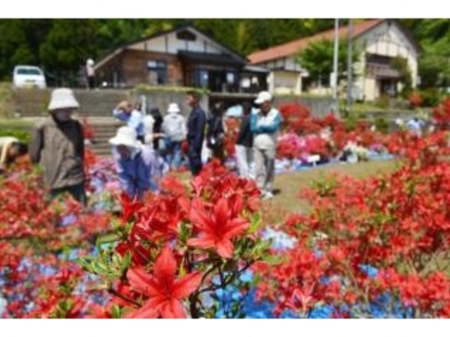 能登峨山キリシマツツジ展示即売会の写真1