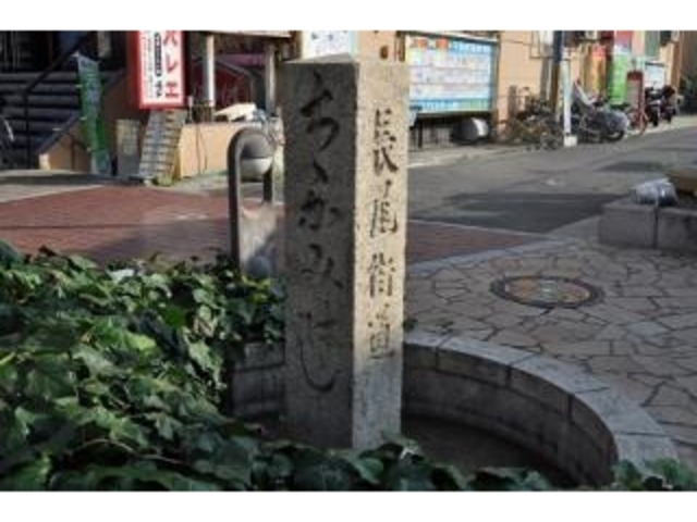 長尾街道の写真1